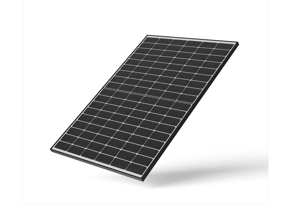 Aleo Leo PV-Module