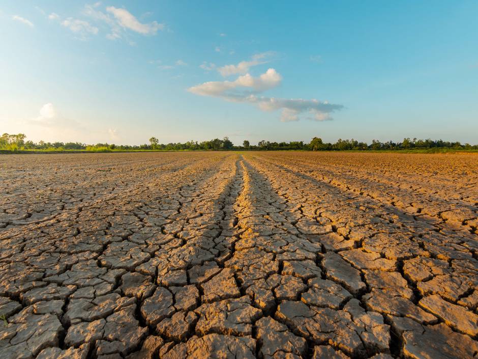 Ein ausgetrocknetes Feld aufgrund anhaltender Trockenperioden