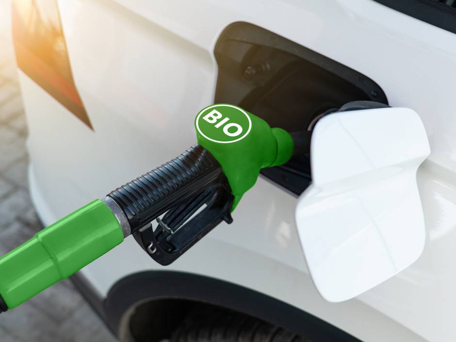 E20: Vorteile, Verfügbarkeit und Preis E20: Vorteile, Verfügbarkeit und Preis