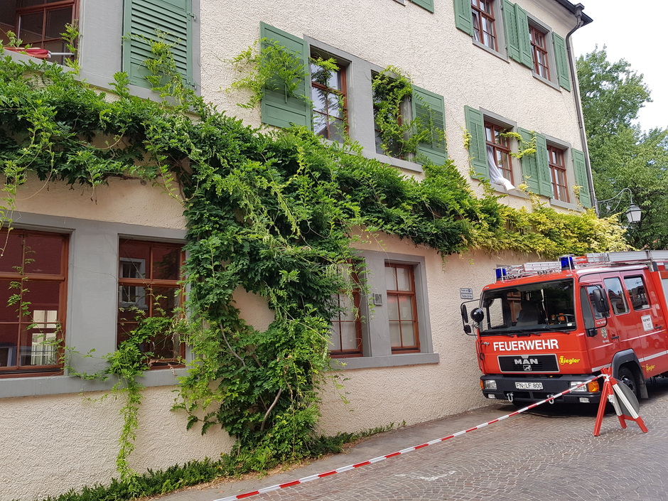 Die neue BuGG-Fachinformation gibt einen Überblick über brandschutztechnische Auflagen und Maßnahmen.