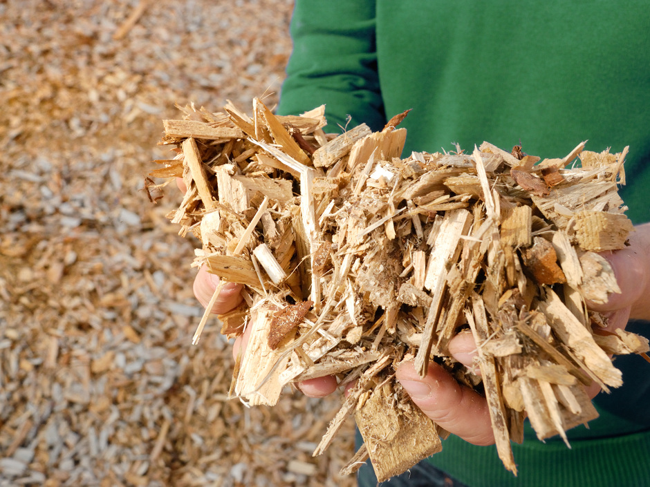 Hackschnitzel und Holzbriketts: Heizen mit Holz bleibt günstig