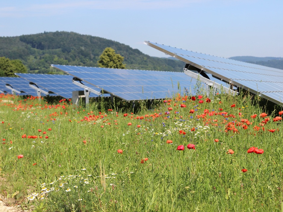 Der Solarausbau im Südwesten läuft gut – er muss aber noch einen Zahn zulegen. Solarpark Mooshof am Bodensee.