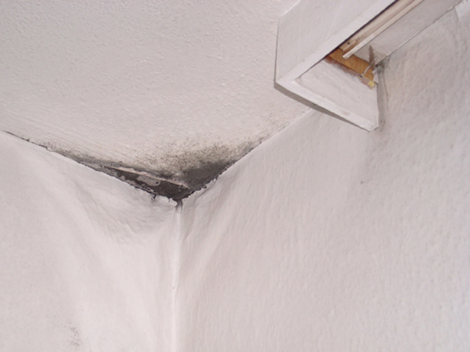 Schimmel an der Wand