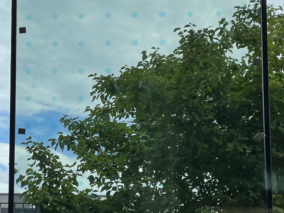 Vogelschutzglas des Fraunhofer ISE