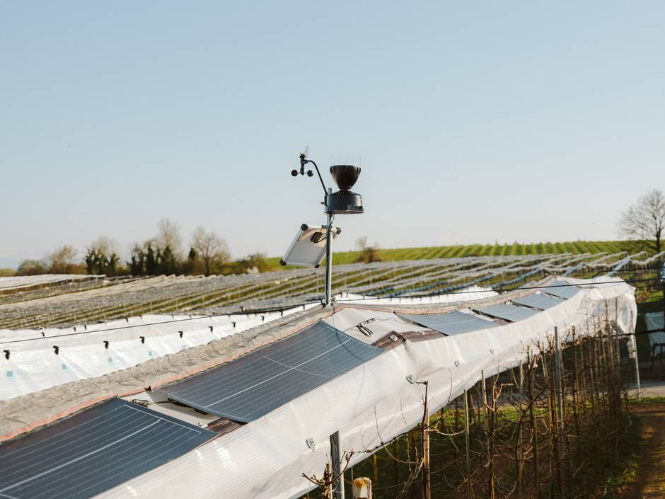 Das Fraunhofer ISE und die VOEN Vöhringer GmbH &amp; Co. KG haben PV-Module entwickelt, die leicht genug sind, um auf klassischen Witterungsschutzsystemen für Sonderkulturen aufge-bracht zu werden.