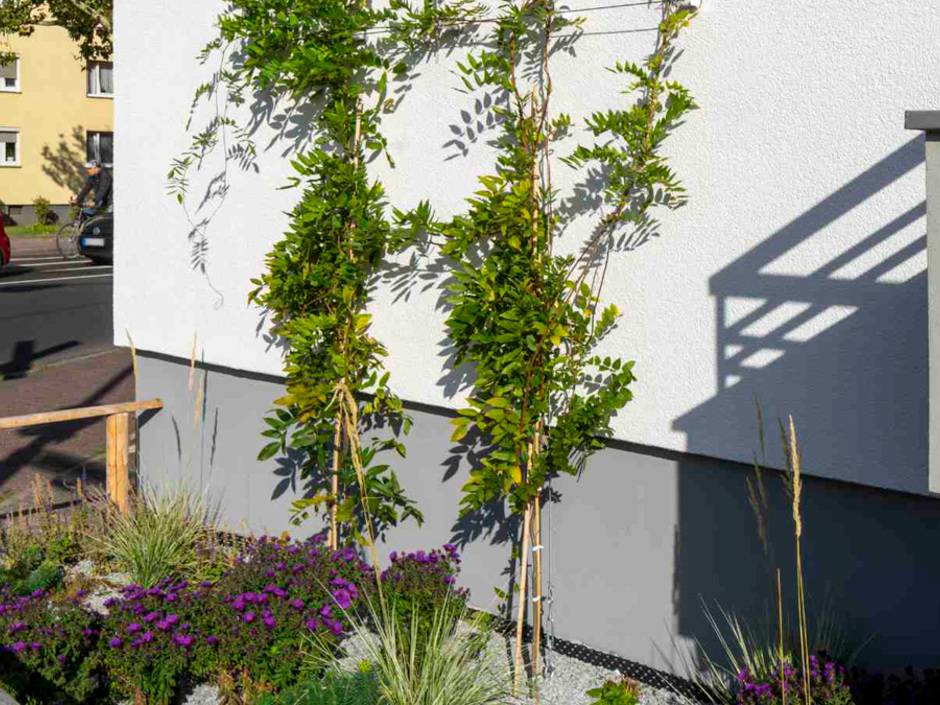 StoFix Iso-Bar eco Rankhilfe für gedämmte Fassaden