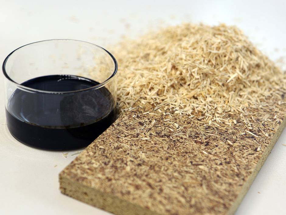 Zutaten für die Spanplatte der Zukunft: Biogenes, formaldehydfreies Lignin-HMF-Kondensationsharz und alternative Holzarten aus klimaresilienten Mischwäldern.