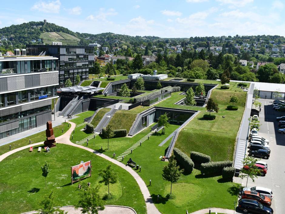 Deutschland ist Vorreiter bei der Begrünung von Dächern und Fassaden.