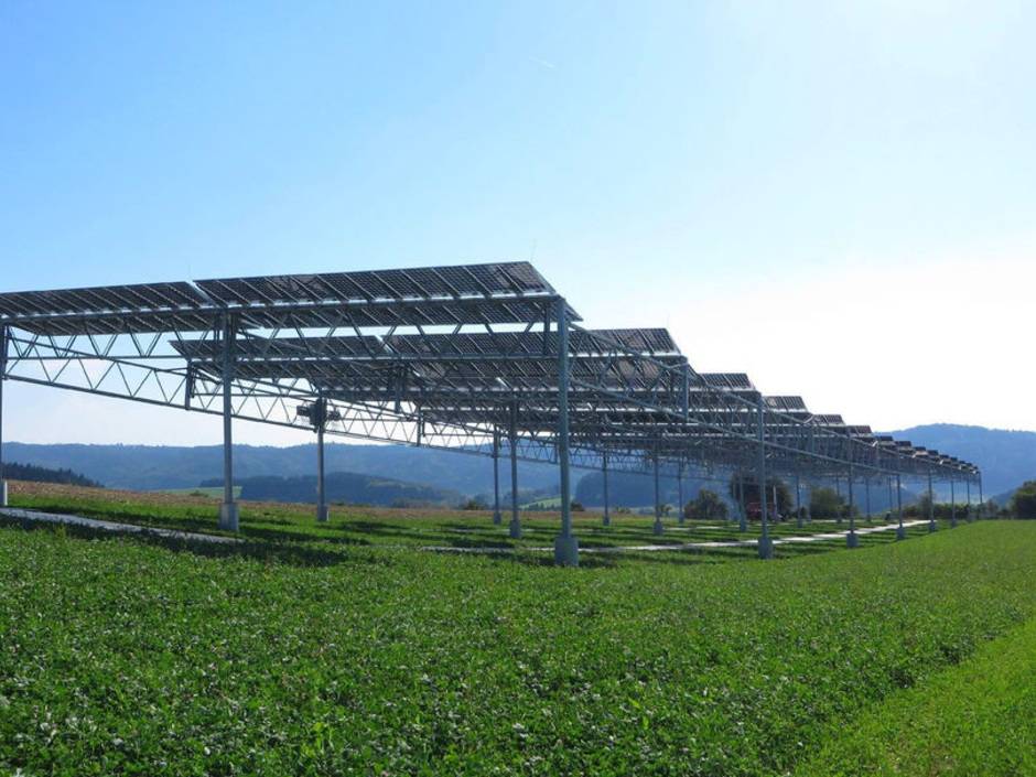 Agrophotovoltaik: Kartoffeln unter dem Kollektor Agrophotovoltaik: Kartoffeln unter dem Kollektor