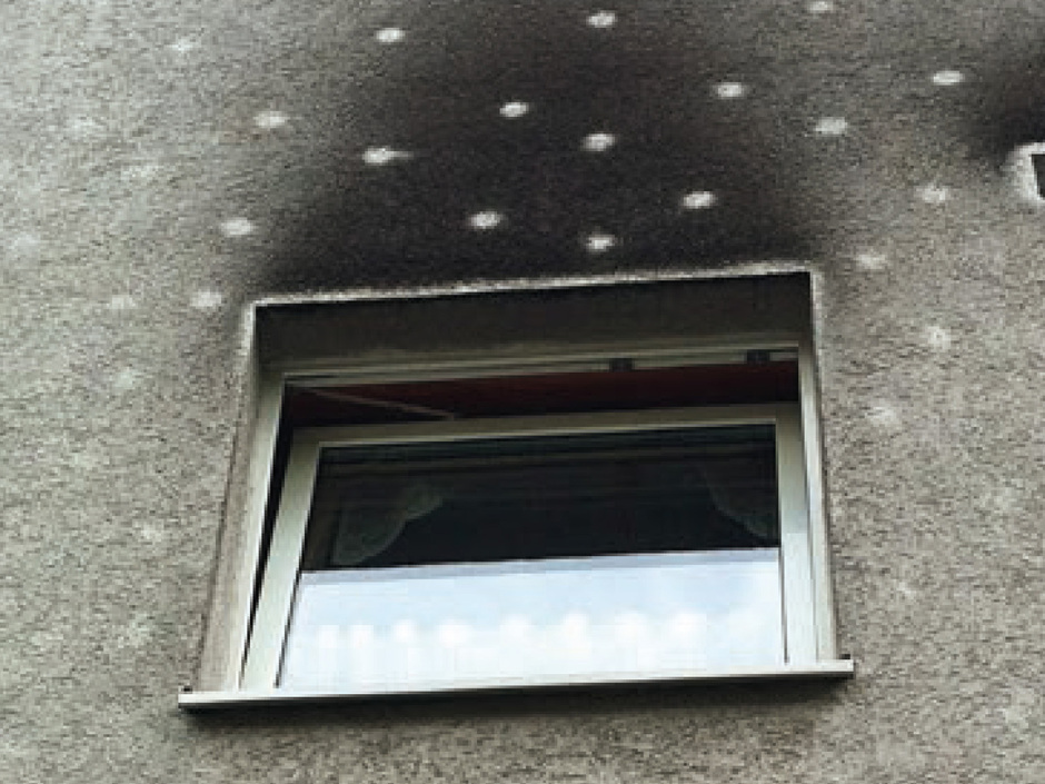 Algen und Pilze an der Fassade vermeiden Algen und Pilze an der Fassade vermeiden