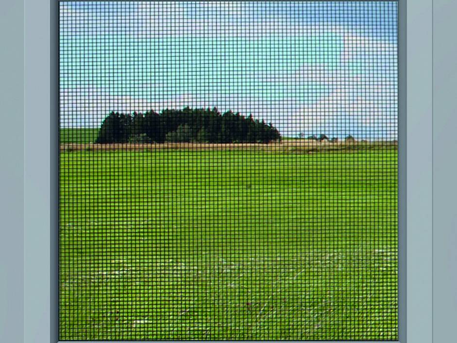 Wespen, Mücken und andere Insekten: Über nervige Tierchen und unlautere Dienstleistungen Wespen, Mücken und andere Insekten: Über nervige Tierchen und unlautere Dienstleistungen