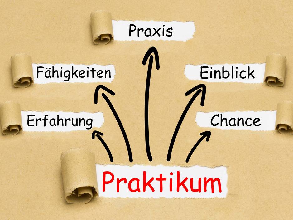 Nachwuchs sichern 7 Tipps für den Umgang mit Praktikanten Haustec