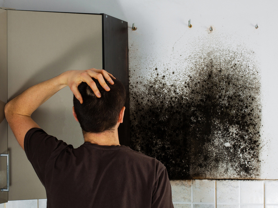Mieter haftet für Schimmel durch falschen Gebrauch Mieter haftet für Schimmel durch falschen Gebrauch