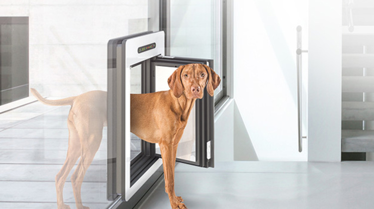 hundeklappe mit chip für große hunde