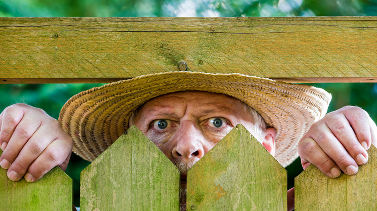 8 Aktuelle Urteile Zu Nachbarschaftsstreits Haustec