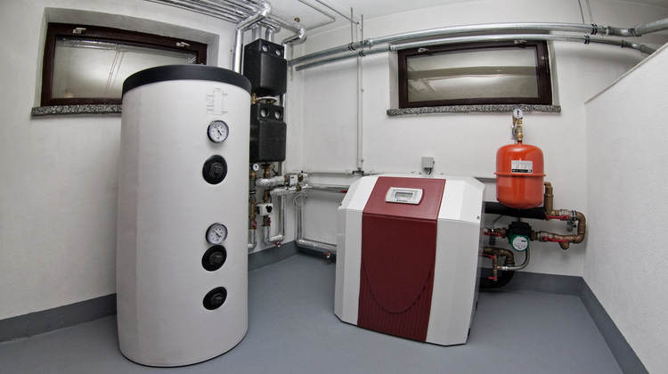 Trügt das bauchgefühl