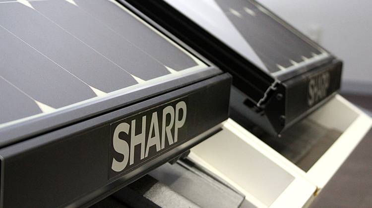 Sharp: Effizientes PV-Modul Back-Contact mit 48 Zellen | Haustec