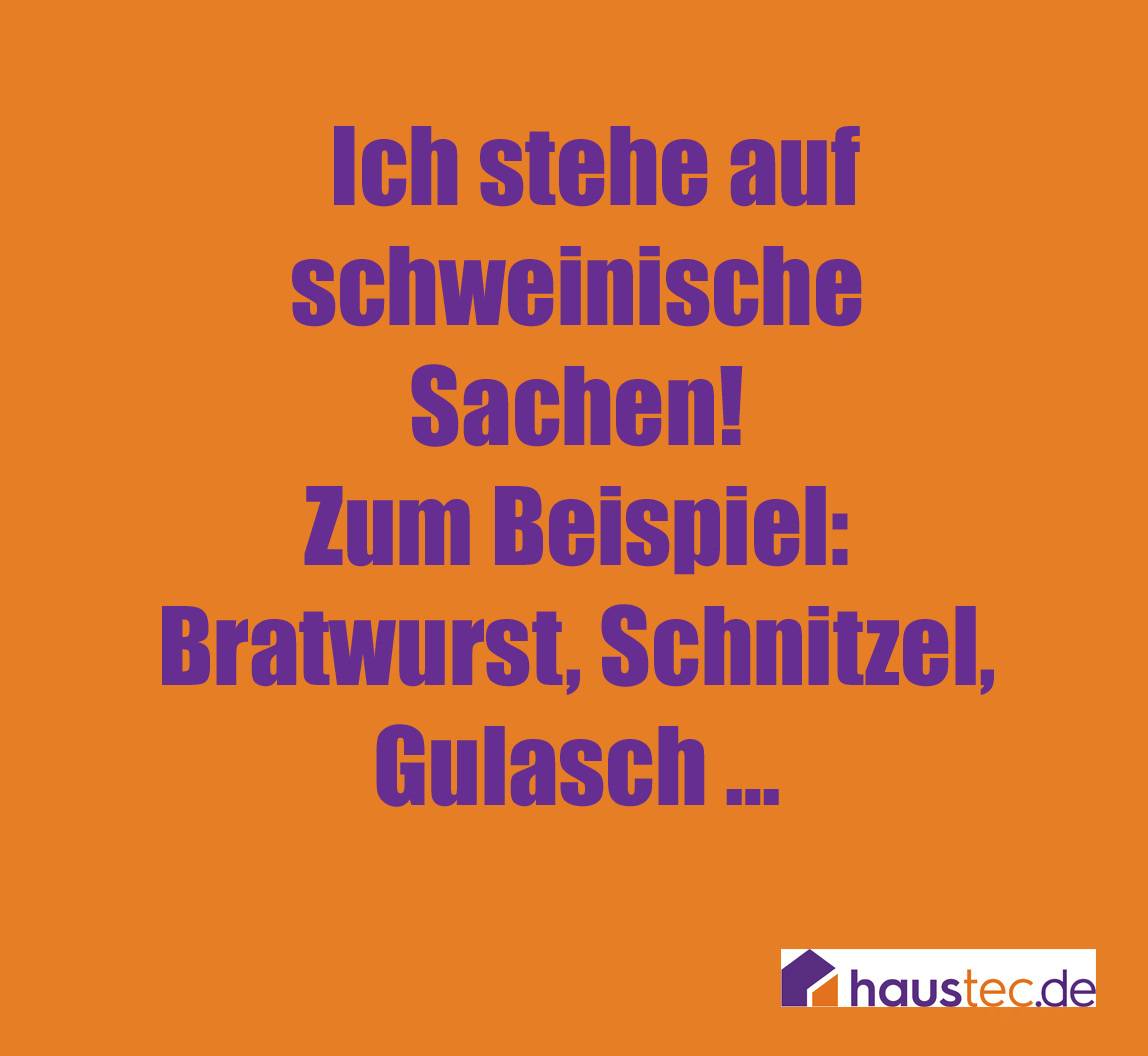 Die 100 besten Handwerkersprüche Haustec