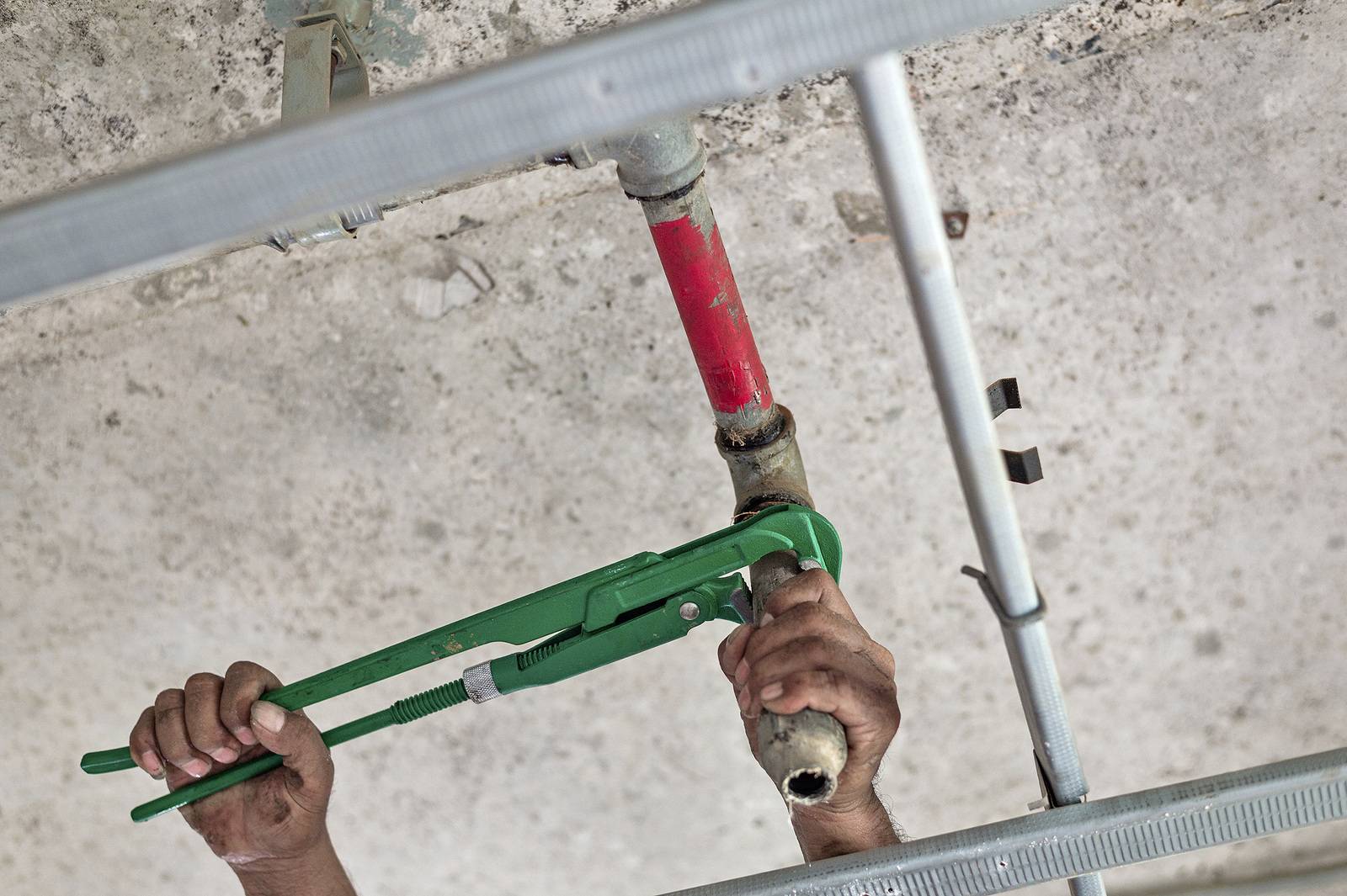 Legionellen - Fachartikel für SHK-Handwerker | Haustec