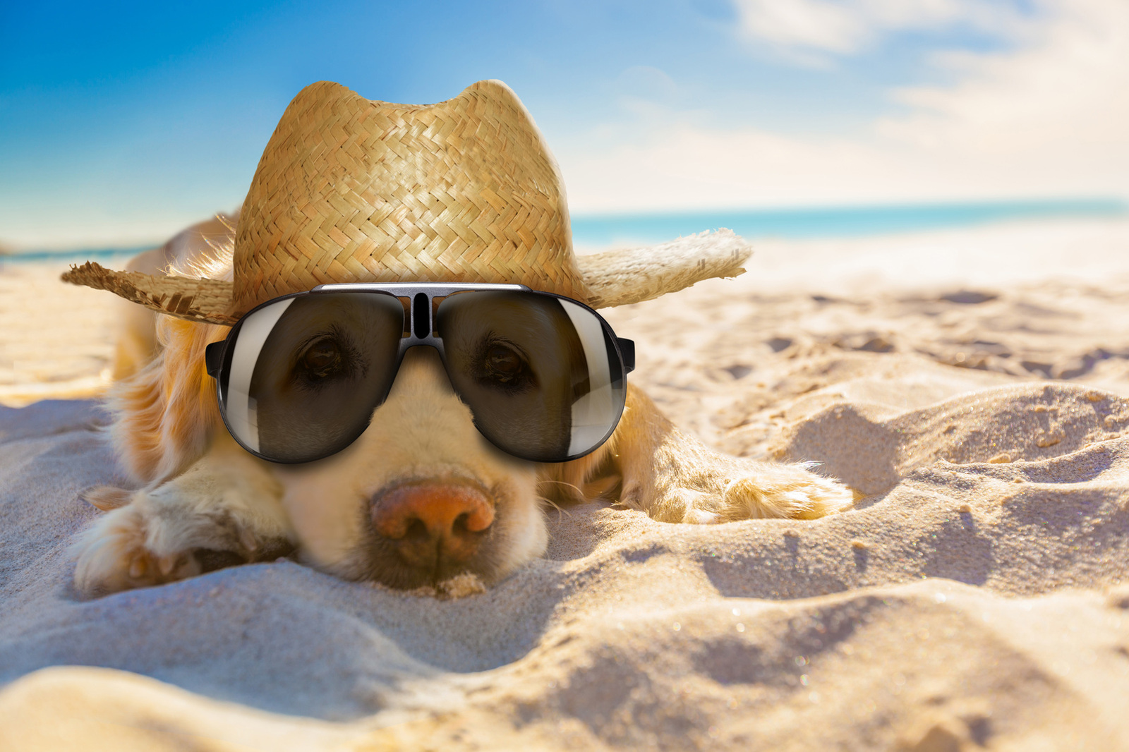 Die 10 lustigsten Urlaubs-Fails | Haustec