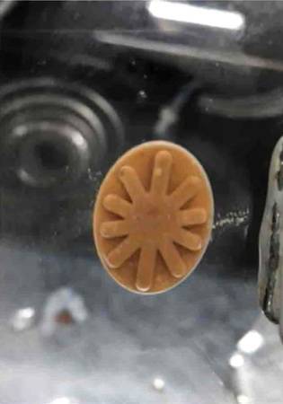 Variante 3: Eine sternförmige Kavität (Vertiefung) wurde mit Misopaste gefüllt und freigespült.