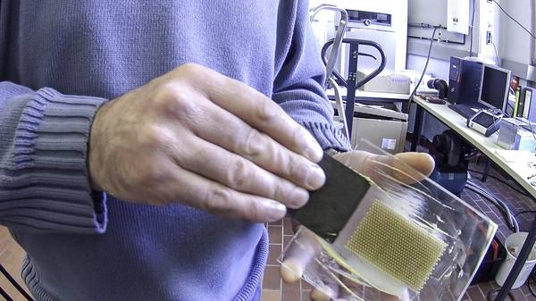 Die Reinigungswirkung der Dusch-WCs wird mit verschiedenen Versuchen ermittelt – hier mit mittelscharfem Senf in Lochplatten aus Plexiglas.