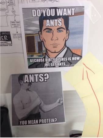 DAS ging wohl nach hinten los.