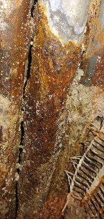 Ganz schön durchgerostet... Danke für dieses und das nächste Bild an P. Lein!