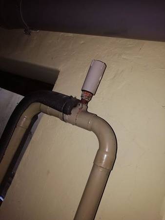 Hier lohnt sich der Blick aufs Detail...