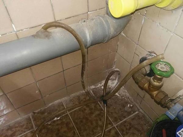 Frag nicht "Warum?" - ist doch top gemacht! 