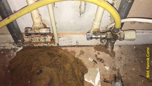 Danke an Yannik Corte: "Geil gemacht, um die Heizung zu entleeren!"