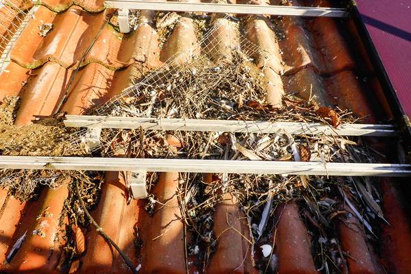 So sieht es unter den Modulen aus.