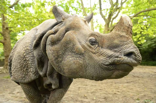 Dichtungen für den Zoologischen Garten in Berlin Dichtungen für den Zoologischen Garten in Berlin
