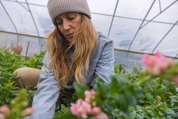 Clone of Clone of Clone of D