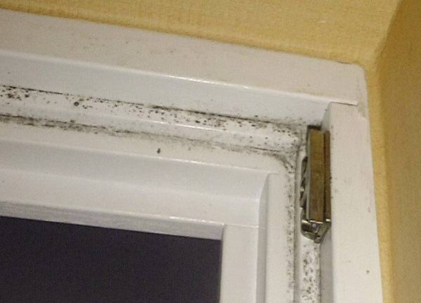 So Lasst Sich Schimmel Im Fensterfalz Vermeiden Haustec