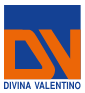 DV Ri.Tec GmbH Logo