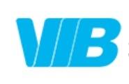 VIB Limited Logo