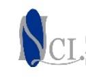 National Craft Industries, Inc. Logo
