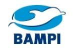 BAMPI S.p.A. Logo