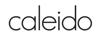 CALEIDO SRL Logo