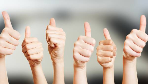 1 Jahr haustec.de: Das sind die 10 beliebtesten Artikel