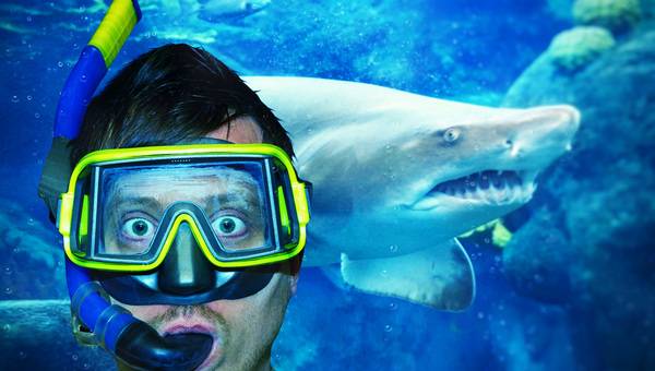 Die 15 skurrilsten Jobs der Welt