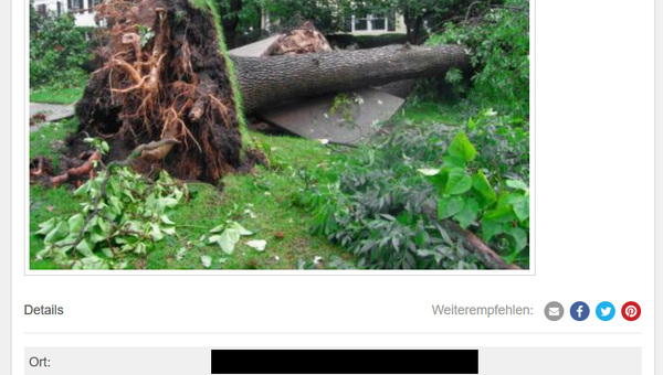 Schräg-Inserate: 34 Kleinanzeigen, die wirklich so auf ebay standen