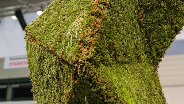 Design trifft Funktion 2.0 - neue Aspekte für die Fassade