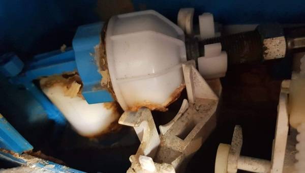 Nicht schön und auch nicht selten: 22 Bilder aus dem Kundenkeller