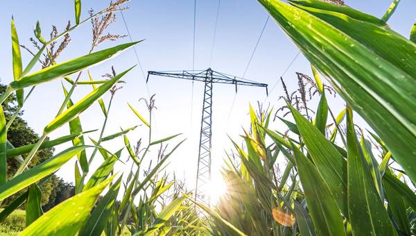 Ökostromanbieter und ihre Marken: Wer gehört zu wem?