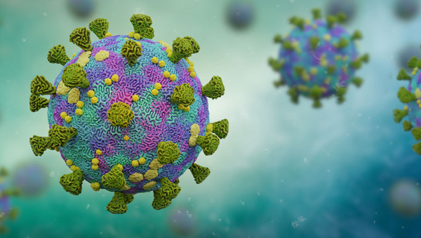 Corona: Jeder achte Handwerker von Betriebsschließung betroffen