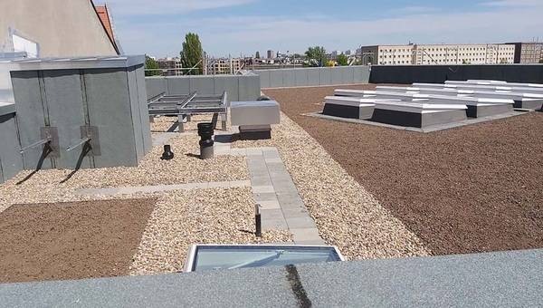 Grünes Dach für Berliner Grundschüler