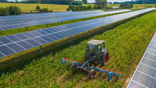 PV-Spotlight: Agri-PV in aller Munde