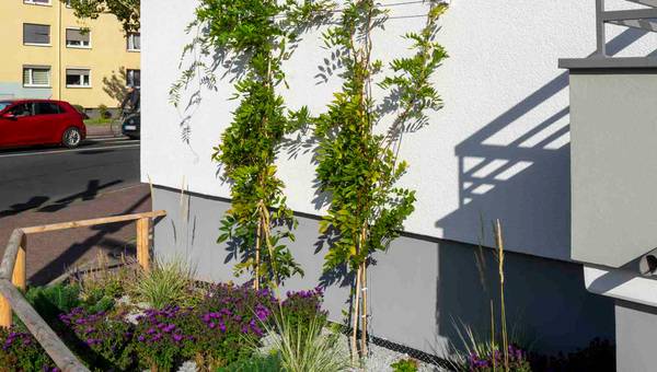 StoFix Iso-Bar eco Rankhilfe für gedämmte Fassaden